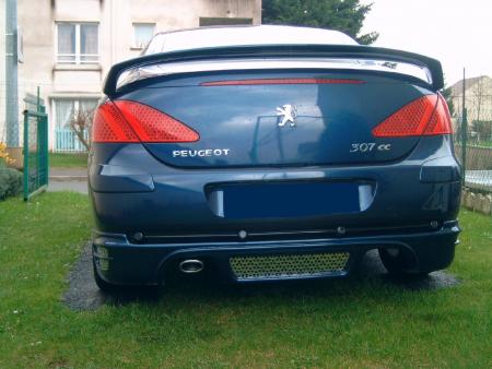 ma 307 cc avec le rajout pare chocs poser