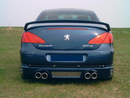 ma 307 cc avec les pots